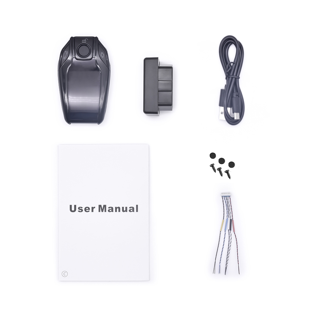 Smart Door Lock - Chiave Smart per Veicoli con Display
