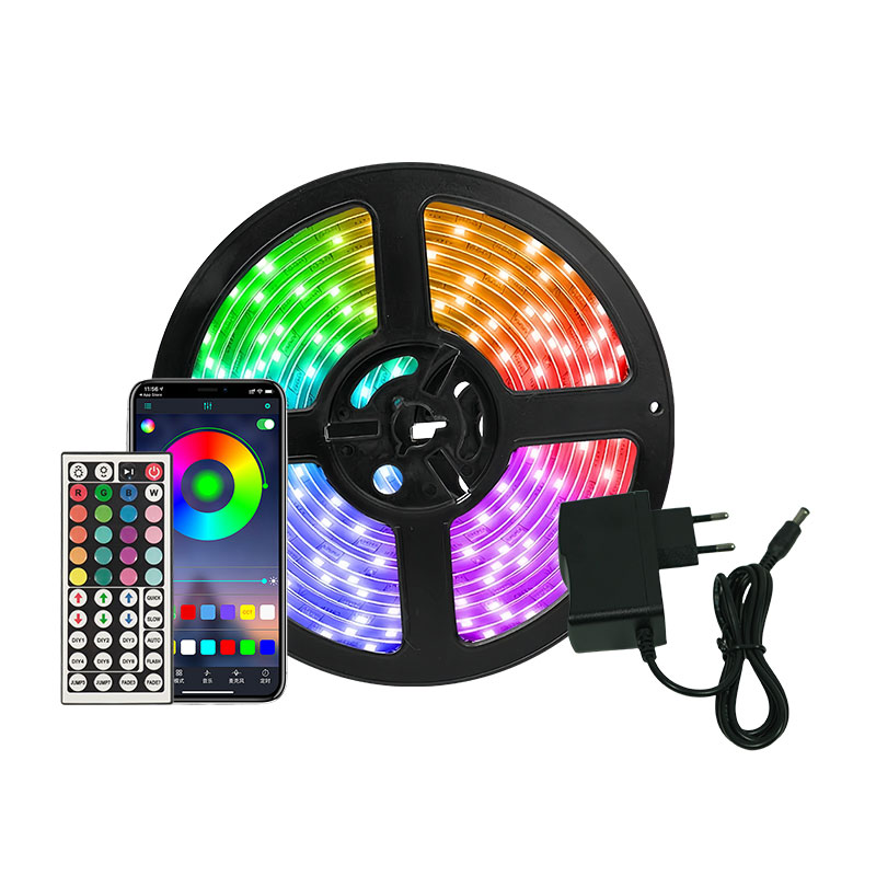 Smart Home Remote - Striscia LED Intelligente STTL 5m con