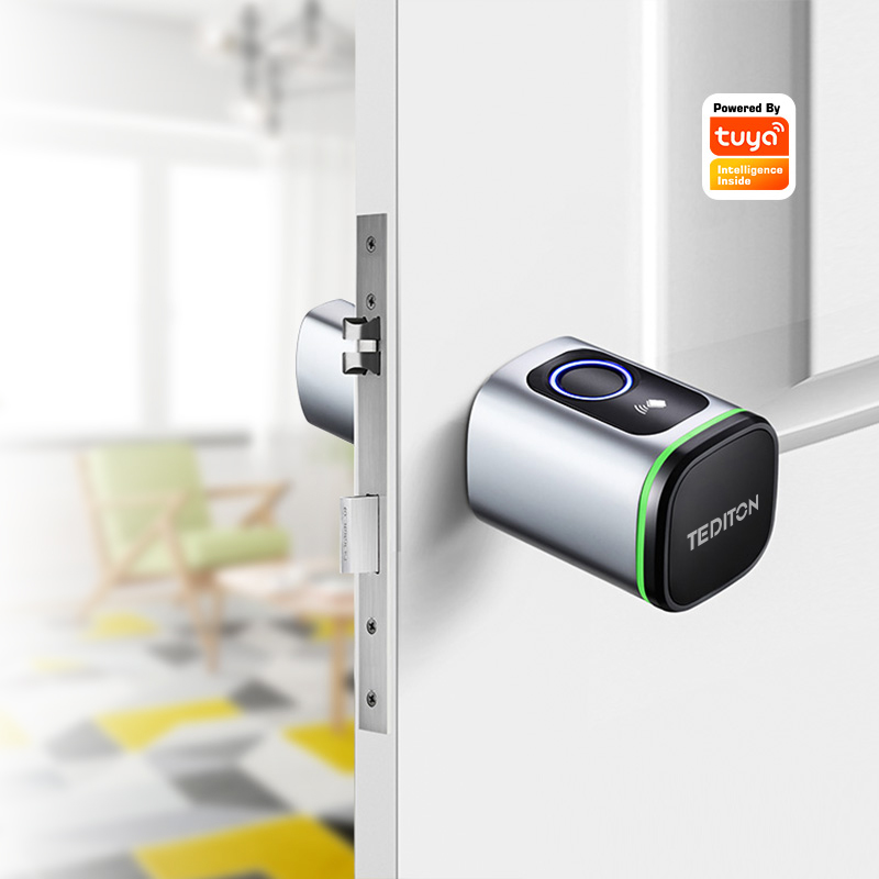 Tuya Wifi Smart Cylinder Door  - Airbnb Smart Home recensione e prezzo