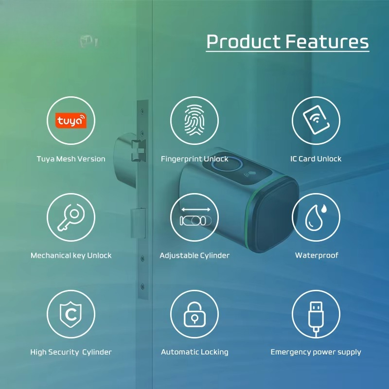 Tuya Wifi Smart Cylinder Door  - Airbnb Smart Home recensione e prezzo