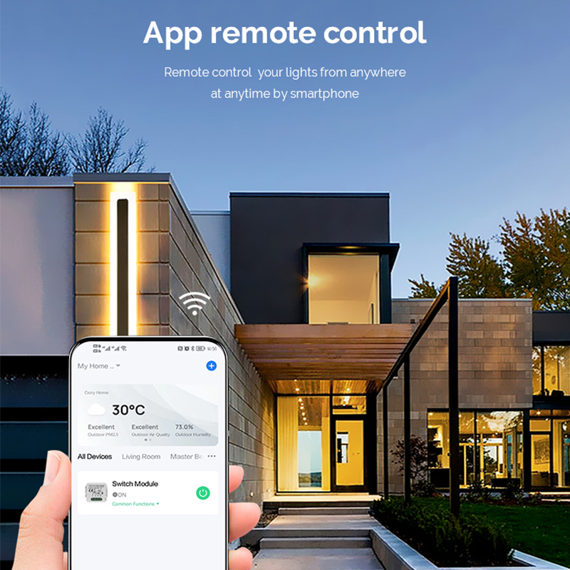 Modulo Interruttore Dimmer Sma - Tuya Wifi Socket recensione e prezzo