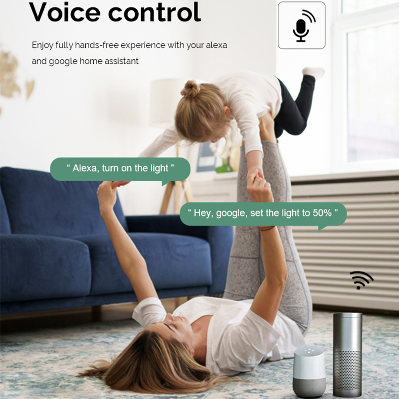 Modulo Interruttore Dimmer Sma - Tuya Wifi Socket recensione e prezzo