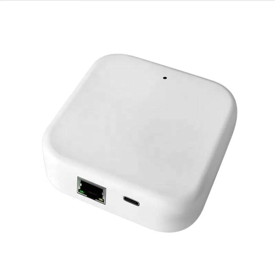 Gateway Wi-Fi TTLOCK G2 G3 per - Smart Door Lock recensione e prezzo