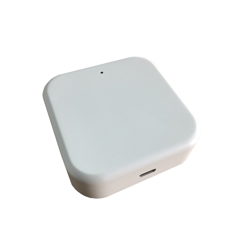 Gateway Smart TTLock G2 WiFi B - Smart Door Lock recensione e prezzo