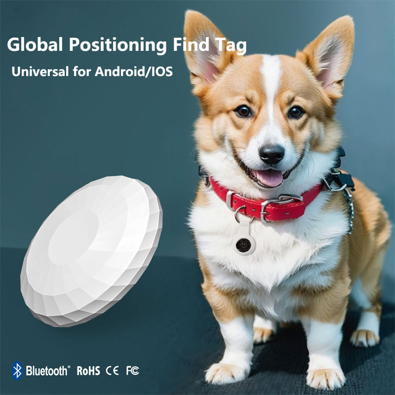 Smart Tag Posizionamento davve - Smart Home Apple recensione e prezzo