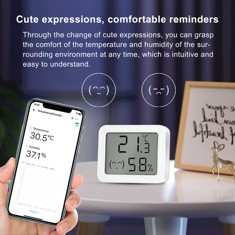 Ewelink Zigbee3.0 Sensore di t - Smart Home Samsung recensione e prezzo