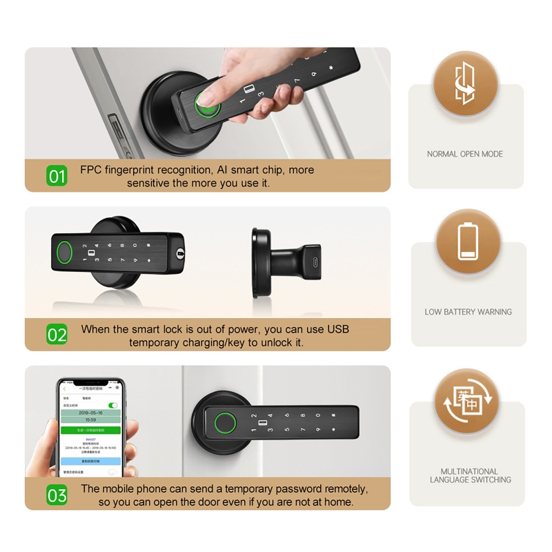 Serratura Intelligente WiFi co - Smart Door Lock recensione e prezzo