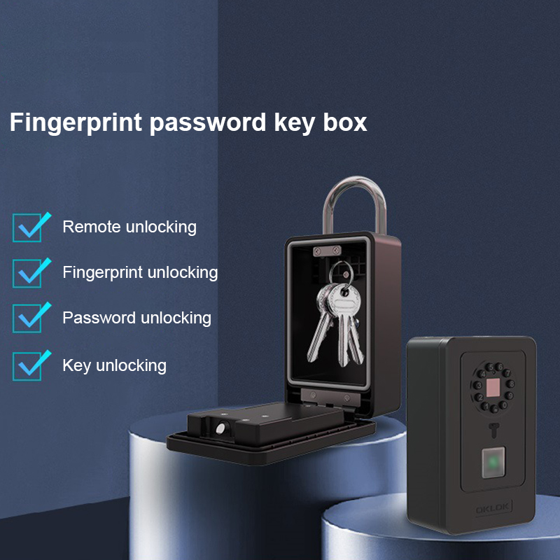 Cassetta di Sicurezza Intellig - Smart Door Lock recensione e prezzo