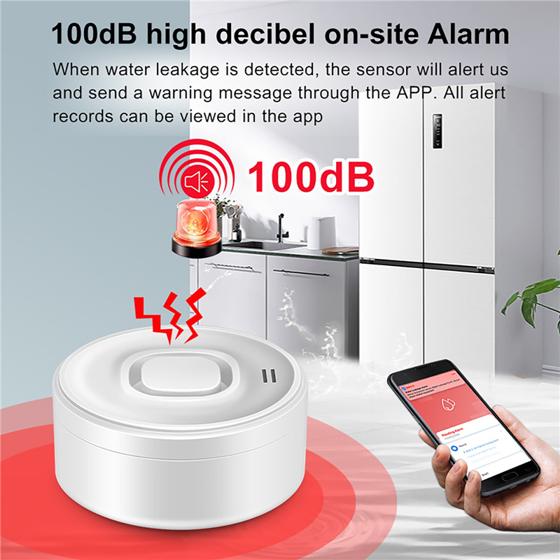 Rilevatore di perdite d'acqua  - Wifi Water Sensor recensione e prezzo