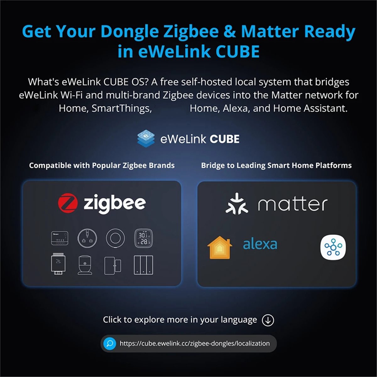 Dongle Plus MG24 Zigbee Thread - Smart Home Plus recensione e prezzo